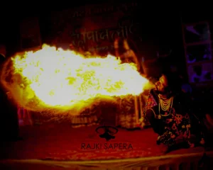 Book Mouth Fire Show